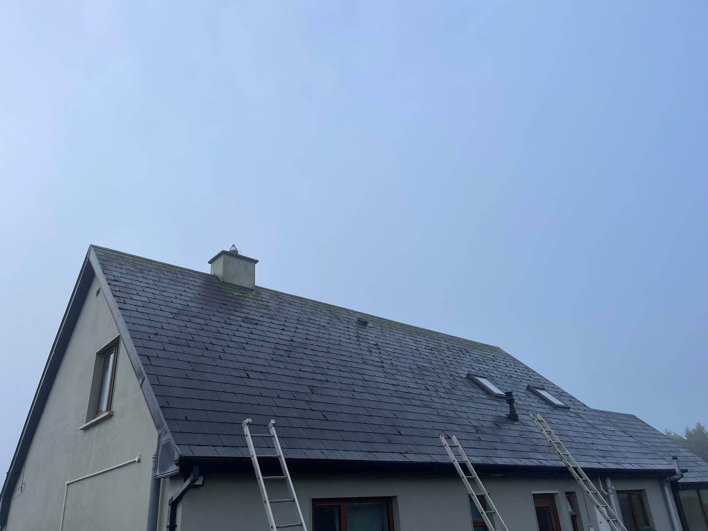 before roof cleaning