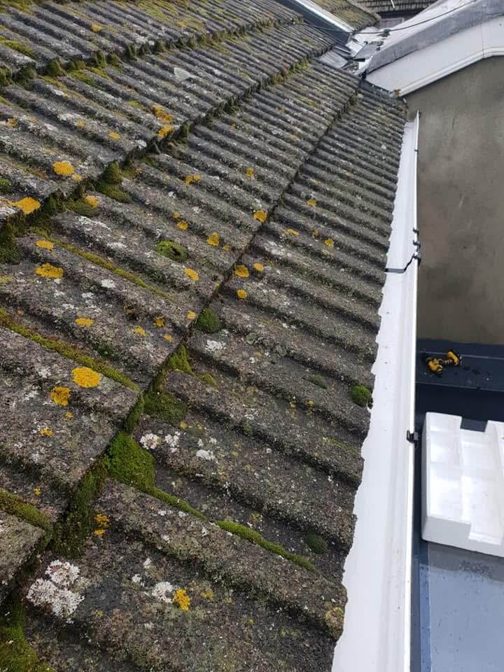cleaning gutters